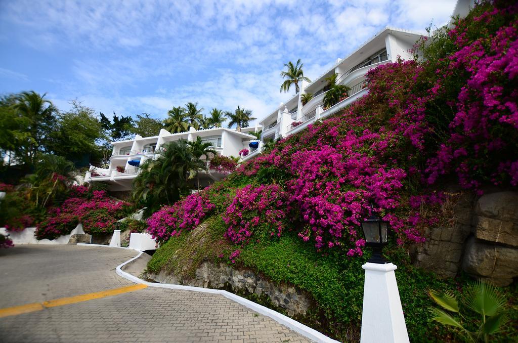 Dolphin Cove Inn Мансанильо Экстерьер фото